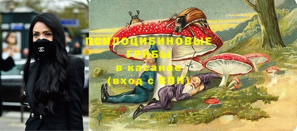 ешки Зерноград