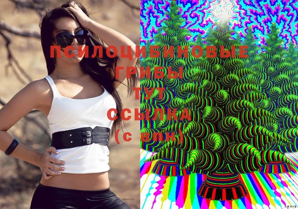 ешки Зерноград