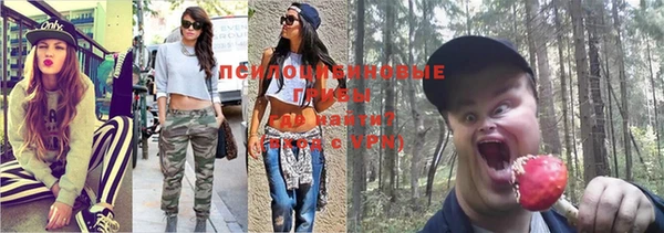 ешки Зерноград