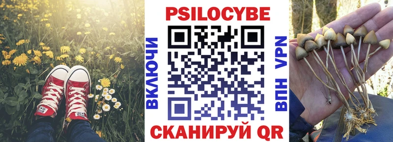 Купить где  Кирс  Псилоцибиновые грибы мицелий 